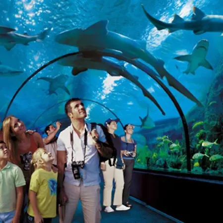 Charming In Golf Del Sur, Ak336 With Heated Pool And Ocean View