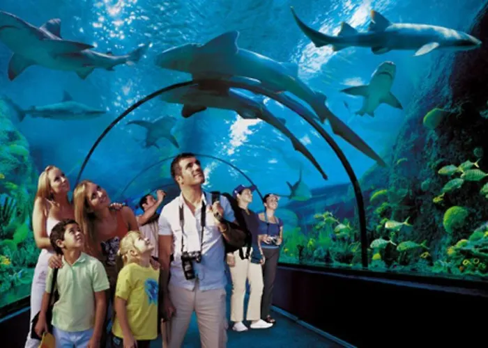 Charming In Golf Del Sur, Ak336 With Heated Pool And Ocean View